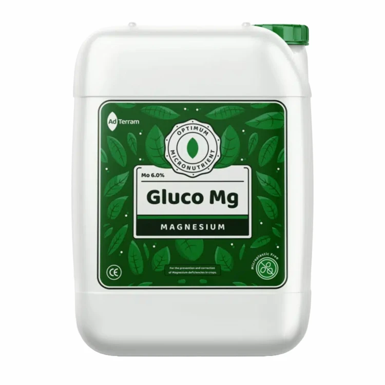 GlucoMg-opakowanie-packshot.webp