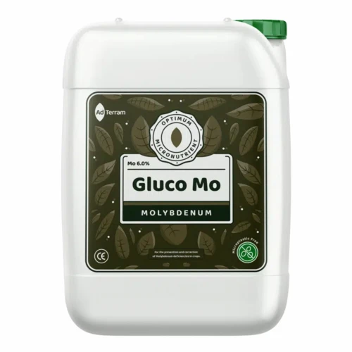 GluMo-opakowanie-packshot.webp