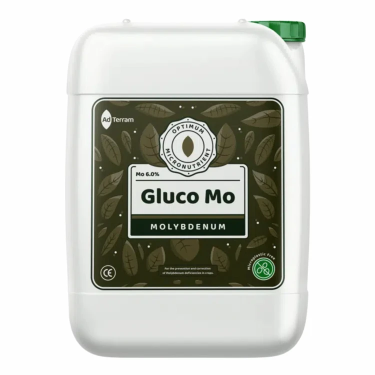 GluMo-opakowanie-packshot.webp