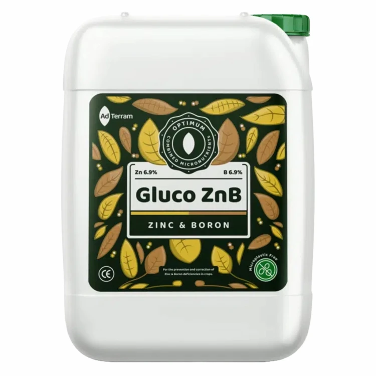 GLZNB-opakowanie-packshot.webp