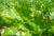 spyrale 1 burak.webp