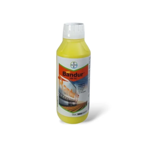 bandur-600-sc.jpg