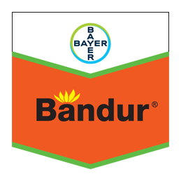 bandur-600-sc-1l.jpg