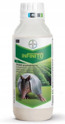 INFINITO.jpg