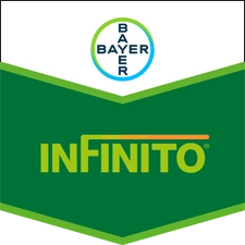 infinito LOGO.webp