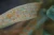 ASTROLAB1 ZD.webp