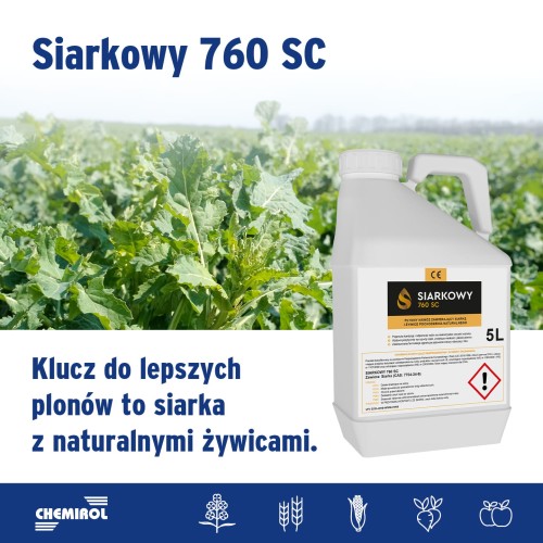 siarkowy5 zdj.jpg