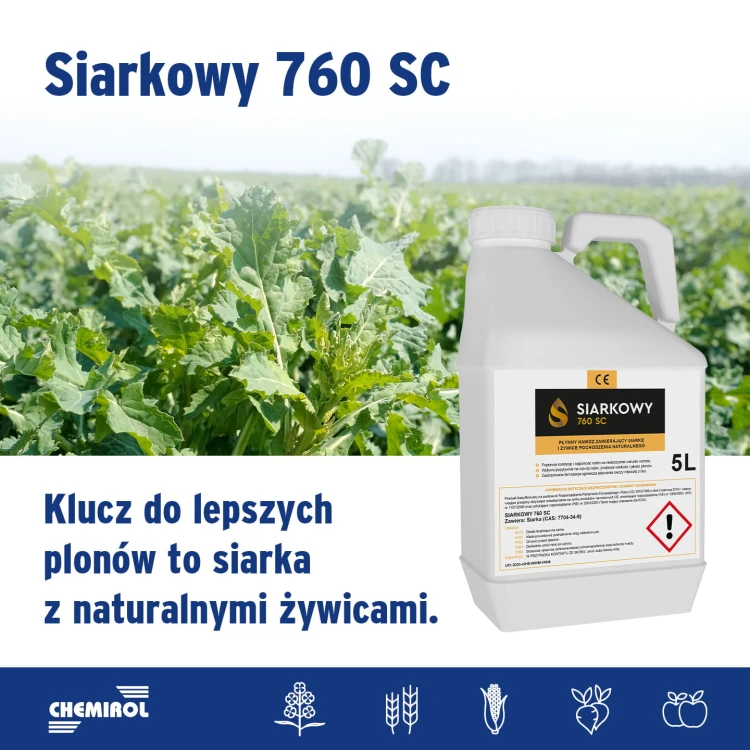 siarkowy5 zdj.jpg