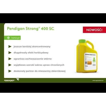 PENDIGAN 1L ETYK.webp