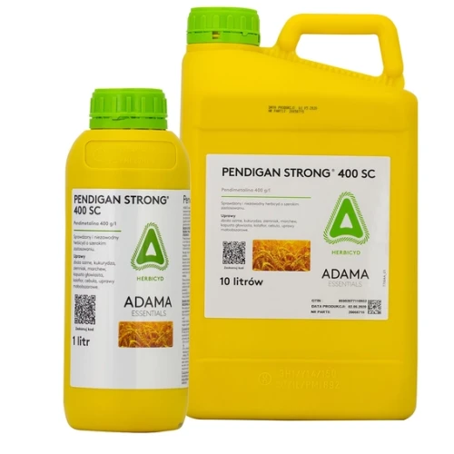 pendingan-strong-400-sc.webp