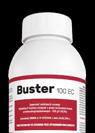 BUSTER 1 ZDJ.jpg