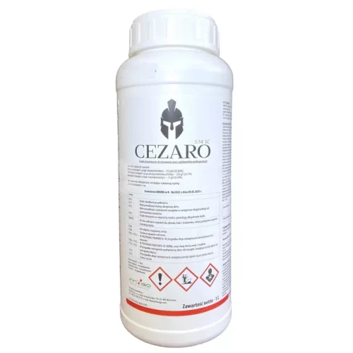 cezaro.webp