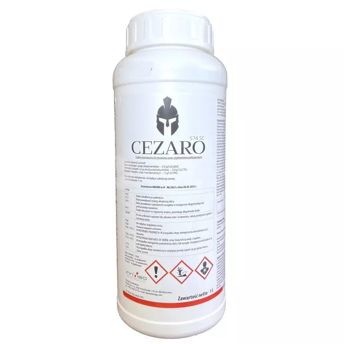 cezaro.webp