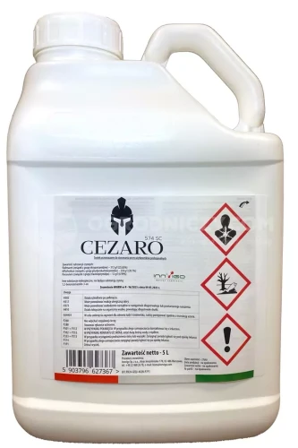 CEZARO5.webp