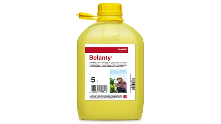 BELANTY.webp