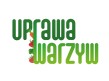 Shoper demo - strona główna
