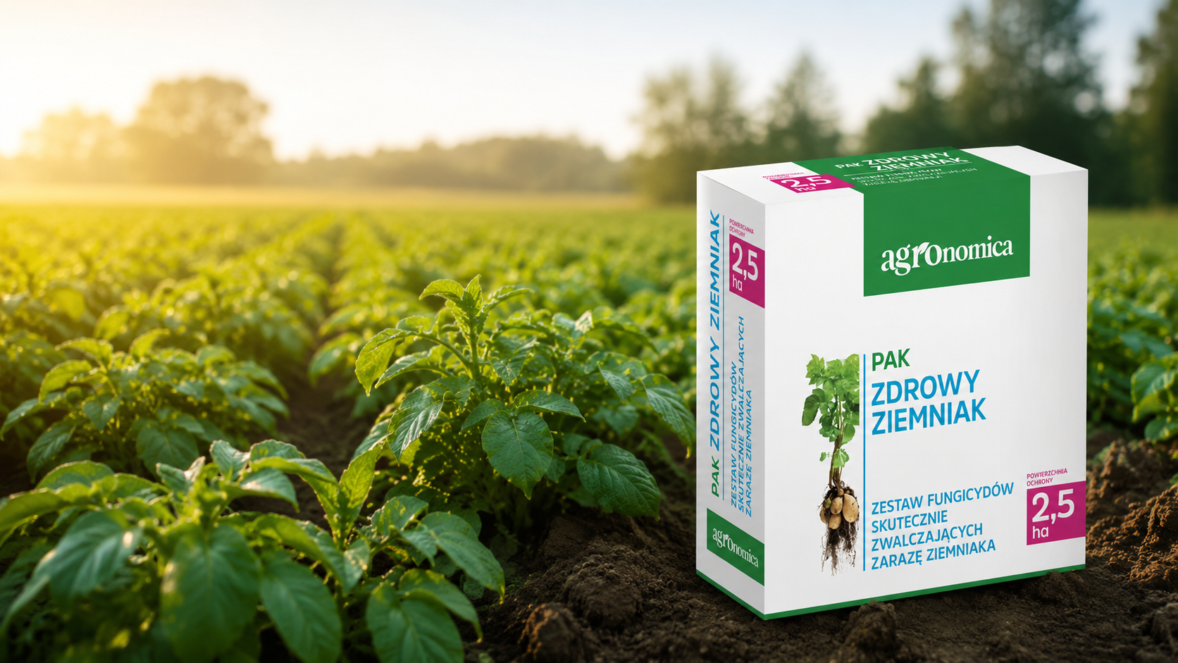 PAK Zdrowy Ziemniak Fluazinova 1L Sacron 0,5 kg zestaw fungicydów