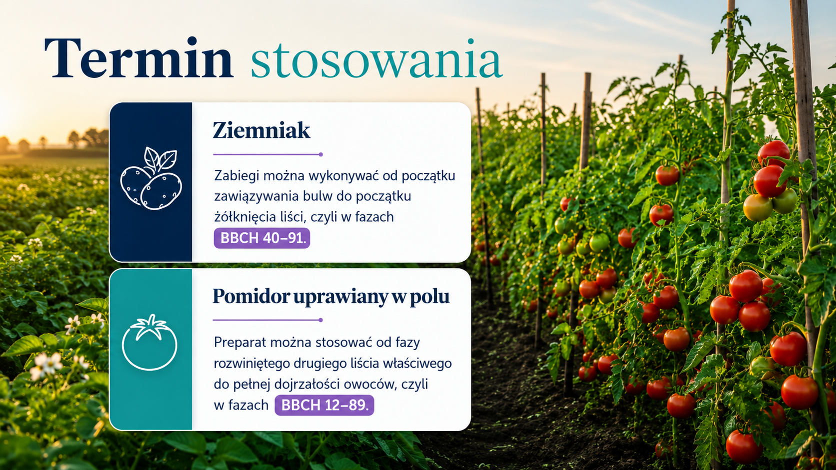 termin stosowania